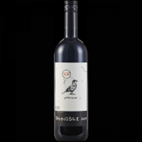 CV Pannobile 2009 Pittnauer 